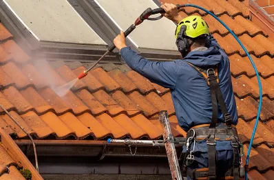 Démoussage et hydrofuge de toiture à Bertholène